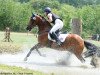 jumper Geralja's Undercover (New Forest Pony, 2003, from Bram)