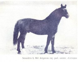 stallion Smuidris (Latvian Warmblood, 1974, from Ulvis)