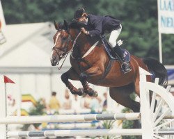 broodmare Navarra van Overis (Belgian Warmblood, 1990, from Darco)