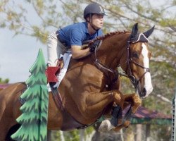 jumper Troica van Overis (Belgian Warmblood, 1996, from Darco)