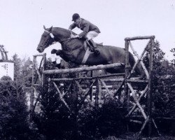 Deckhengst Astor (Holsteiner, 1942, von Lorbeerblatt)