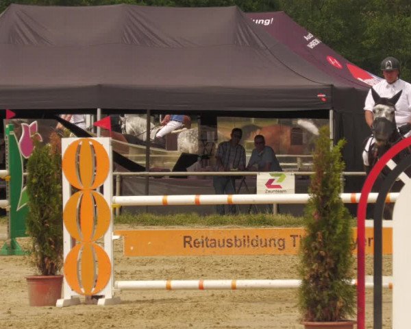 Reitturnier Heiligenwald 2020