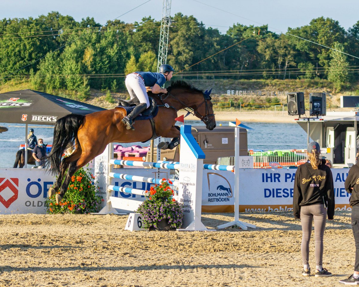 Springpferd Leopold S 3 (Oldenburger Springpferd, 2013, von Lord Pezi Junior)