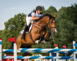 jumper Chicago 115 (Oldenburg show jumper, 2006, from Chacco-Blue)