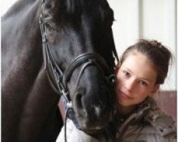 dressage horse Scampalo 6 (Oldenburg, 2002, from Sandro Hit)