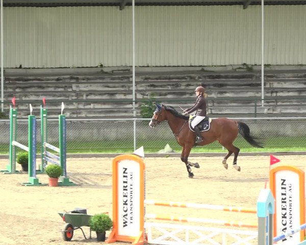 Reitturnier Schaffhausen 2020
