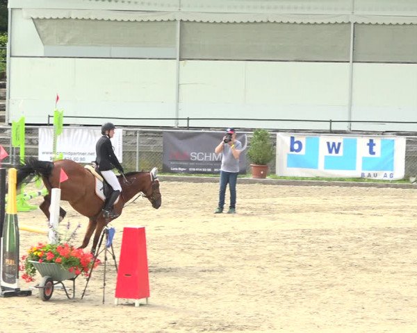 Reitturnier Schaffhausen 2020
