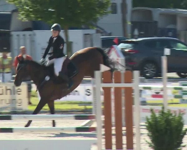 Reitturnier Grafenrheinfeld/Ufr. 2020