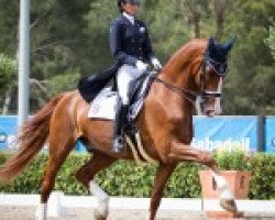 dressage horse Tarpan Ymas (KWPN (Royal Dutch Sporthorse), 2000, from Waterman)