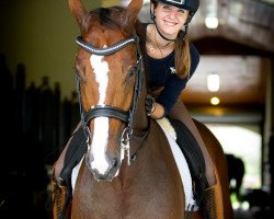 dressage horse Quantico (Hanoverian, 2006, from Fighting Fit)