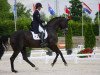 dressage horse Noble Dream (Oldenburg, 2002, from Caprimond)