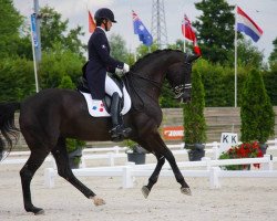 dressage horse Noble Dream (Oldenburg, 2002, from Caprimond)