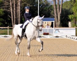 dressage horse Ebony (Westphalian, 2003, from Ehrentusch)