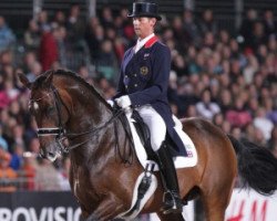 dressage horse Liebling II (Holsteiner, 1997, from Lorentin I)