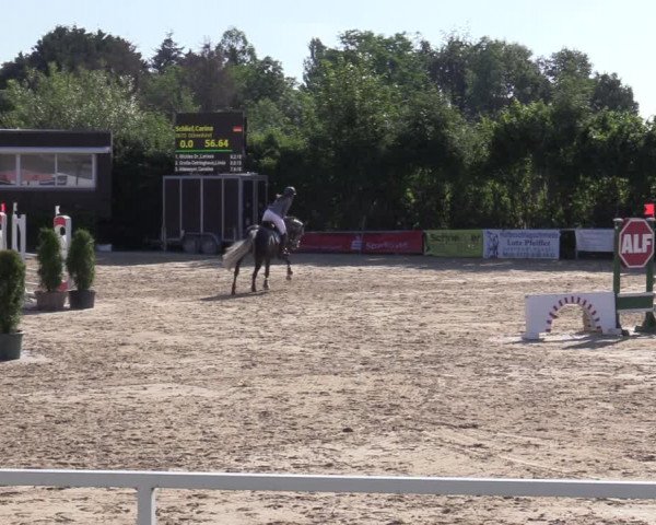 Reitturnier Fröndenberg 2020