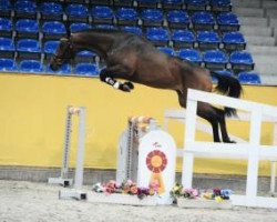 stallion Nabab de Luna (Rhinelander, 2013, from Nabab de Rêve)