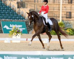 stallion Belafonte (Hanoverian, 2004, from Belissimo NRW)