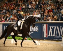 dressage horse Rosenstolz (Hanoverian, 2006, from Rotspon)