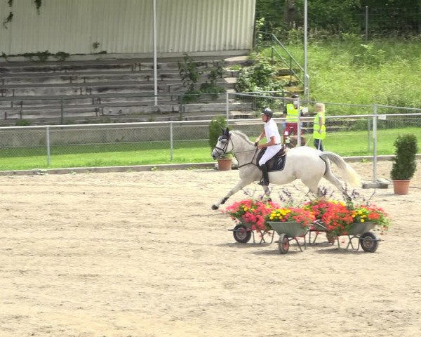 Reitturnier Schaffhausen 2020