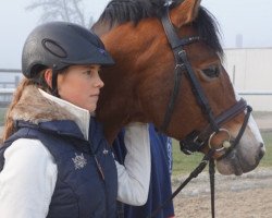 Springpferd Westendorf Pharlap (Deutsches Reitpony, 2006)