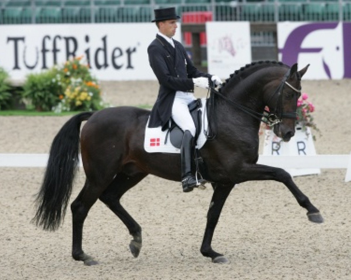 Deckhengst Helenenhof's Carabas (Holsteiner, 1998, von Carnaby GL)