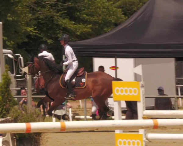 Reitturnier Heiligenwald 2020