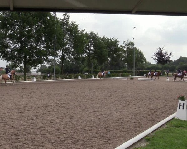 Reitturnier Fröndenberg 2020