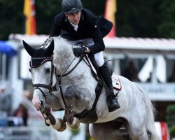 stallion Casquido (Holsteiner, 2010, from Caspar (Berlin))