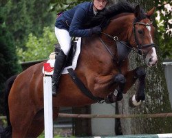 broodmare Galisee 4 (German Warmblood, 2005, from Poltergeist)