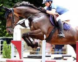 jumper Pamina RW (German Warmblood, 2007, from Poltergeist)