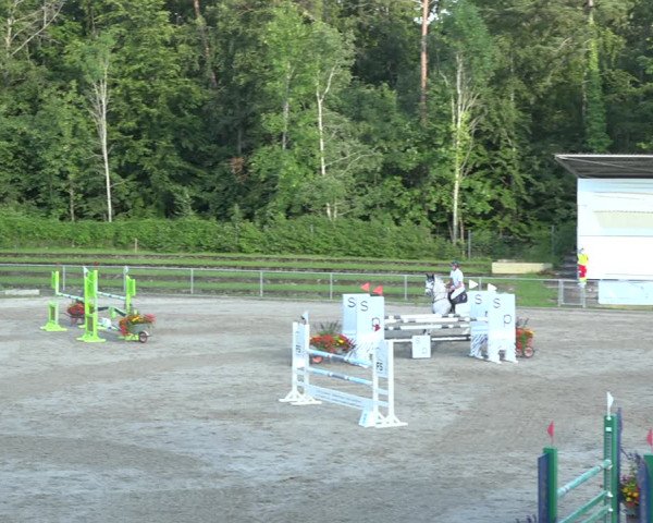 Reitturnier Schaffhausen 2020