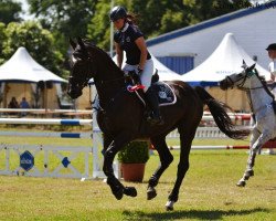 jumper Green Lemon (Hanoverian, 2008, from Graf Remus)