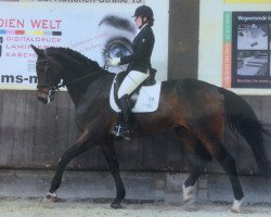 dressage horse Rasputin (Rhinelander, 2006, from Riccio)