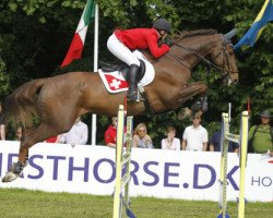 jumper Touchable (KWPN (Royal Dutch Sporthorse), 2000, from Navarone)