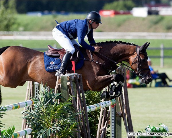 jumper Angelotti (KWPN (Royal Dutch Sporthorse), 2005, from Indoctro)