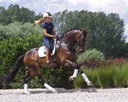 dressage horse Buriel K.h. (KWPN (Royal Dutch Sporthorse), 2006, from Osmium)