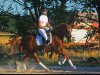 broodmare Moonlight Affair O (German Riding Pony, 2008, from FS Golden Moonlight)