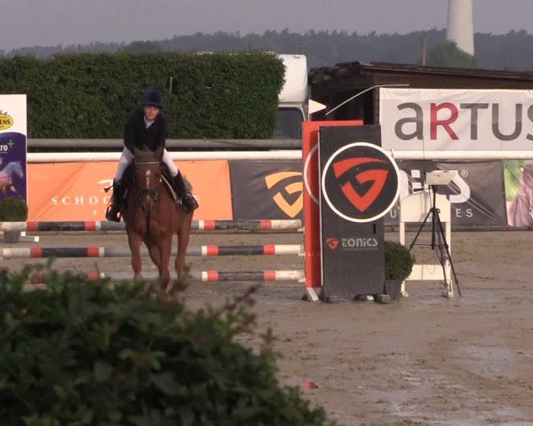 Reitturnier Niedernstöcken 2020