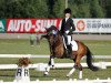 Dressurpferd V K Nestor (Finnisches Warmblut, 2001, von Bazuun 22 NF)