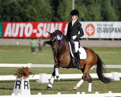 dressage horse V K Nestor (Finnish Warmblood, 2001, from Bazuun 22 NF)