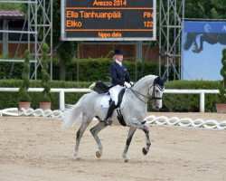 dressage horse Eliko (Latvian Warmblood, 2001, from Zeb-Element)