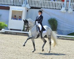 dressage horse Raffaelo VA Bene (Bavarian, 2001, from Royal Diamond)