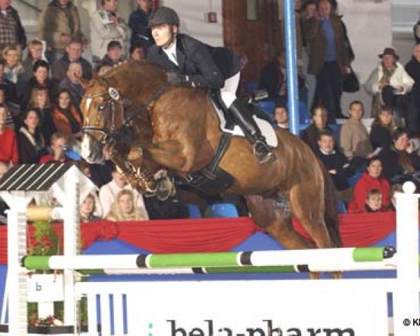 stallion Le Carolus (Oldenburg, 2000, from Landor S)