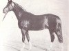 stallion Dschingis Khan (Noble Warmblood, 1986, from Debüt)