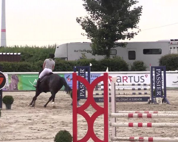 Reitturnier Niedernstöcken 2020