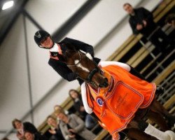 dressage horse Show Boy (Westphalian, 2004, from Show Star)