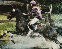 broodmare Akkara (Trakehner, 1986, from Sir Shostakovich xx)