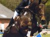 broodmare Samba Queen 4 (Westphalian, 2004, from Samba Hit I)