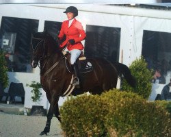 jumper Flatliner 11 (Hanoverian, 2009, from Frenchman I)