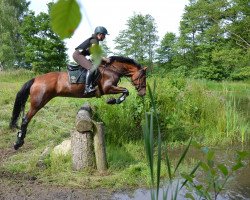 Zuchtstute Bailarina 6 (Lusitano, 2006, von Rubi)